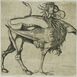 Griffin od Martin Schongauer
