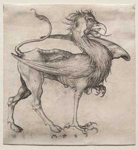 Griffin, 1400s. od Martin Schongauer