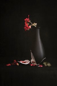  od Martine Benezech