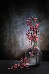  od Martine Benezech