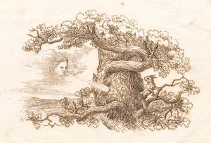 Ilustrace k "Půl sta bajek pro děti" od Hey od Martinus Rørbye