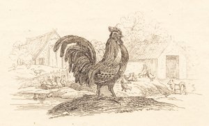 Ilustrace k "Půl sta bajek pro děti" od Hey od Martinus Rørbye