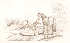 Ilustrace k "Půl sta bajek pro děti" od Hey od Martinus Rørbye