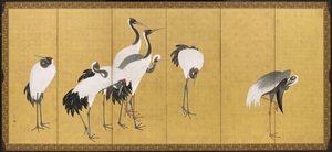  od Maruyama Okyo