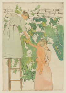 Sběr ovoce od Mary Cassatt