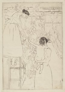 Sběr ovoce od Mary Cassatt
