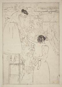 Sklizeň ovoce od Mary Cassatt