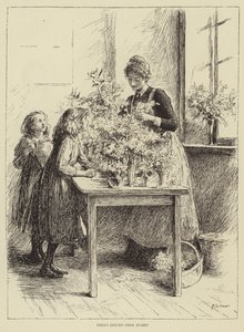 Ilustrace k Příběhu sestry od Honnor Morten od Mary L. Gow