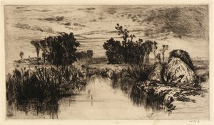 Cattails a stromy od Mary Nimmo Moran