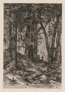 Interiér kalifornského lesa podle Thomase Morana Američan, 1837-1926,, 1888.