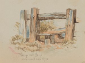 Bez názvu (Stile) od Mary Vaux Walcott