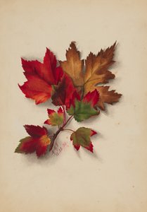 Podzimní listí bez názvu, 1874.