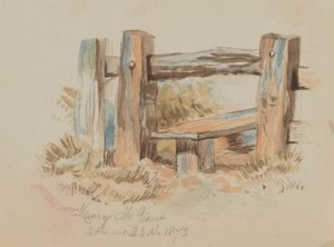 Bez názvu Stile, 1873. od Mary Vaux Walcott