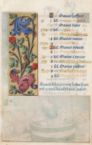 MS Lewis EM 11:22v Květinový panel s akantem, růžovým a housenkou, z hodin Ludvíka XII., 1498-99 (tempera a zlato na pergamenu)