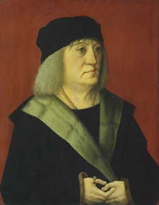 Portrét doktora Johanna Wespacha