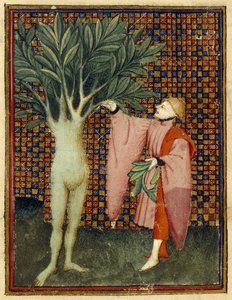 Apollo a Daphne