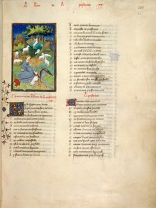 Harley 4431, fol.221 Shepherdess sleduje své stádo, z Le Dit de la Pastoure, z 