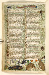 Přidat. 28841, f.6v: Králíci a hmyz, včetně housenky, vážky a můry, z Pojednání o ctnostech a neřestech a anonymní historie prózy Sicílie (fragment), kolem 1330-40 (vellum)