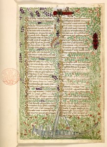 Přidat. 28841, f.7, Květiny, ovoce a hmyz, včetně kobylky a kobylky, z Pojednání o ctnostech a neřestech a anonymní historie prózy Sicílie (fragment)