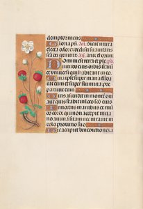 Hodiny královny Isabely Katolické, královny Španělska: Fol. 102v, c. 1500. od Master of the First Prayerbook of Maximillian