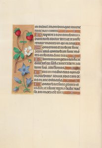 Hodiny královny Isabely Katolické, královny Španělska: Fol. 105 V, c. 1500. od Master of the First Prayerbook of Maximillian