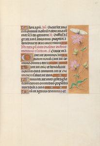 Hodiny španělské královny Isabely Katolické:  Fol. 107r od Master of the First Prayerbook of Maximillian