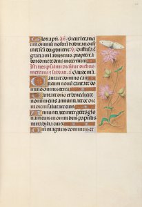 Hodiny královny Isabely Katolické, královny Španělska: Fol. 107r, c. 1500. od Master of the First Prayerbook of Maximillian