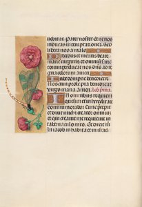 Hodiny královny Isabely Katolické, královny Španělska: Fol. 110v, c. 1500. od Master of the First Prayerbook of Maximillian