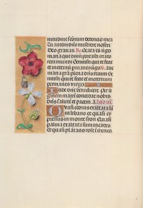 Hodiny královny Isabely Katolické, královny Španělska: Fol. 111v, c. 1500. od Master of the First Prayerbook of Maximillian