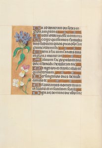 Hodiny královny Isabely Katolické, královny Španělska: Fol. 113v, c. 1500. od Master of the First Prayerbook of Maximillian