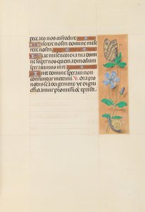 Hodiny královny Isabely Katolické, královny Španělska: Fol. 114r, c. 1500. od Master of the First Prayerbook of Maximillian