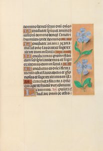 Hodiny královny Isabely Katolické, královny Španělska: Fol. 120r, c. 1500. od Master of the First Prayerbook of Maximillian