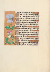 Hodiny španělské královny Isabely Katolické:  Fol. 120v od Master of the First Prayerbook of Maximillian