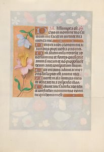 Hodiny královny Isabely Katolické, královny Španělska: Fol. 127v, c. 1500. od Master of the First Prayerbook of Maximillian