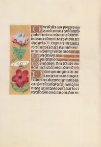 Hodiny královny Isabely Katolické, královny Španělska: Fol. 129v, c. 1500. od Master of the First Prayerbook of Maximillian
