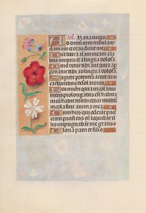 Hodiny královny Isabely Katolické, královny Španělska: Fol. 132v, c. 1500. od Master of the First Prayerbook of Maximillian