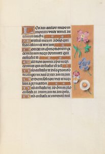 Hodiny královny Isabely Katolické, královny Španělska: Fol. 133r, c. 1500. od Master of the First Prayerbook of Maximillian