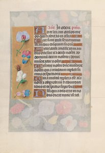 Hodiny královny Isabely Katolické, královny Španělska: Fol. 137v, c. 1500. od Master of the First Prayerbook of Maximillian