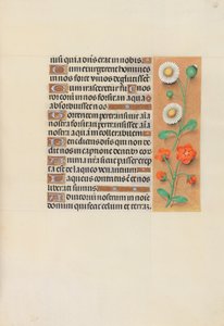 Hodiny královny Isabely Katolické, královny Španělska: Fol. 138r, c. 1500. od Master of the First Prayerbook of Maximillian