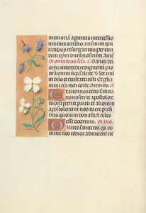 Hodiny královny Isabely Katolické, královny Španělska: Fol. 139v, c. 1500. od Master of the First Prayerbook of Maximillian