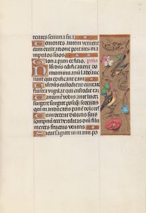 Hodiny královny Isabely Katolické, královny Španělska: Fol. 143r, c. 1500. od Master of the First Prayerbook of Maximillian