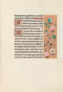 Hodiny královny Isabely Katolické, královny Španělska: Fol. 145r, c. 1500. od Master of the First Prayerbook of Maximillian