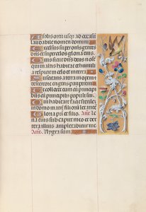 Hodiny královny Isabely Katolické, královny Španělska: Fol. 148r, c. 1500. od Master of the First Prayerbook of Maximillian