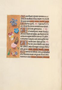 Hodiny královny Isabely Katolické, královny Španělska: Fol. 150V, c. 1500. od Master of the First Prayerbook of Maximillian