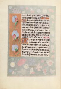 Hodiny královny Isabely Katolické, královny Španělska: Fol. 15v, c. 1500. od Master of the First Prayerbook of Maximillian