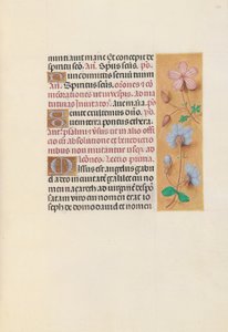 Hodiny královny Isabely Katolické, královny Španělska: Fol. 162r, c. 1500. od Master of the First Prayerbook of Maximillian