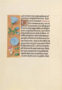 Hodiny královny Isabely Katolické, královny Španělska: Fol. 163v, c. 1500. od Master of the First Prayerbook of Maximillian