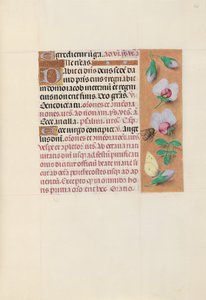 Hodiny královny Isabely Katolické, královny Španělska: Fol. 165r, c. 1500. od Master of the First Prayerbook of Maximillian