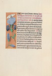 Hodiny královny Isabely Katolické, královny Španělska: Fol. 165v, c. 1500. od Master of the First Prayerbook of Maximillian