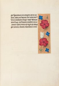 Hodiny královny Isabely Katolické, královny Španělska: Fol. 16r, c. 1500. od Master of the First Prayerbook of Maximillian